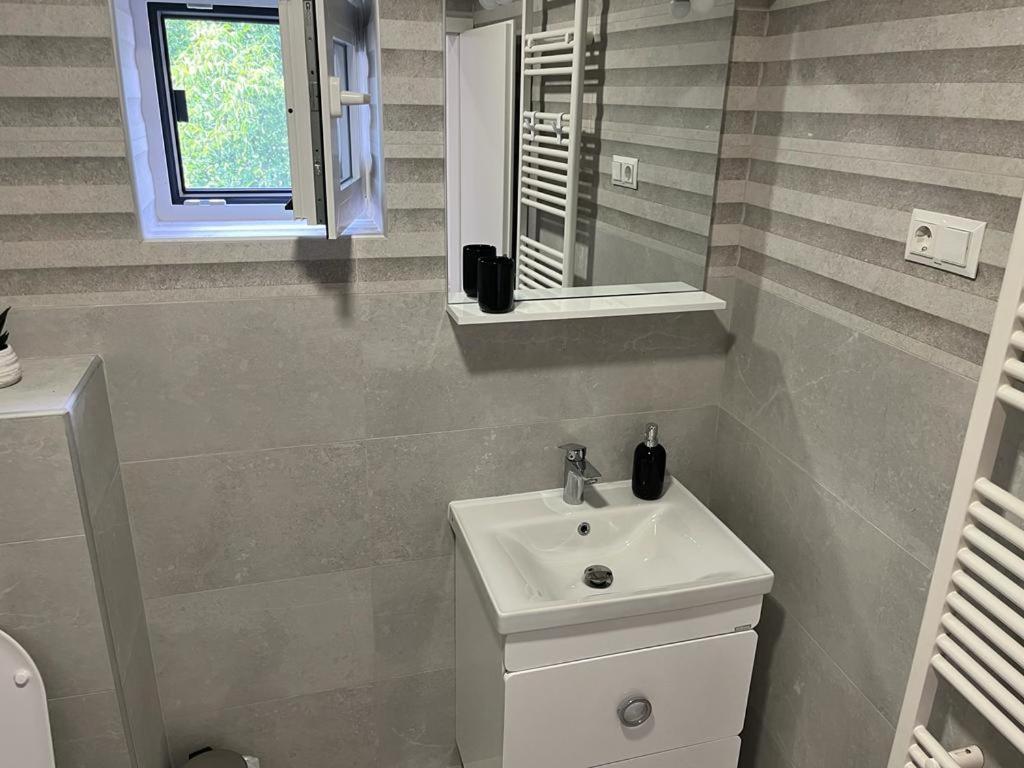 Sabina Apartaments Sfântu-Gheorghe Εξωτερικό φωτογραφία