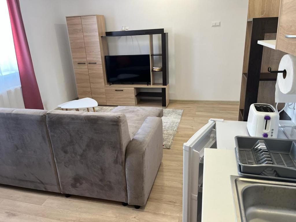 Sabina Apartaments Sfântu-Gheorghe Εξωτερικό φωτογραφία