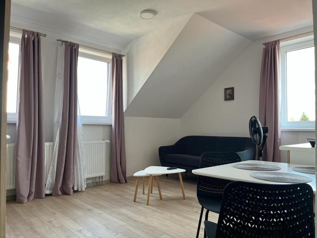 Sabina Apartaments Sfântu-Gheorghe Εξωτερικό φωτογραφία