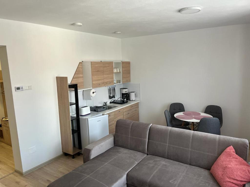 Sabina Apartaments Sfântu-Gheorghe Εξωτερικό φωτογραφία