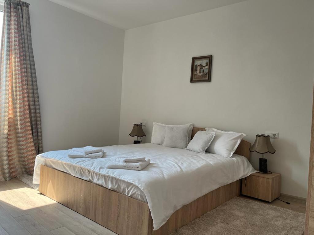 Sabina Apartaments Sfântu-Gheorghe Εξωτερικό φωτογραφία