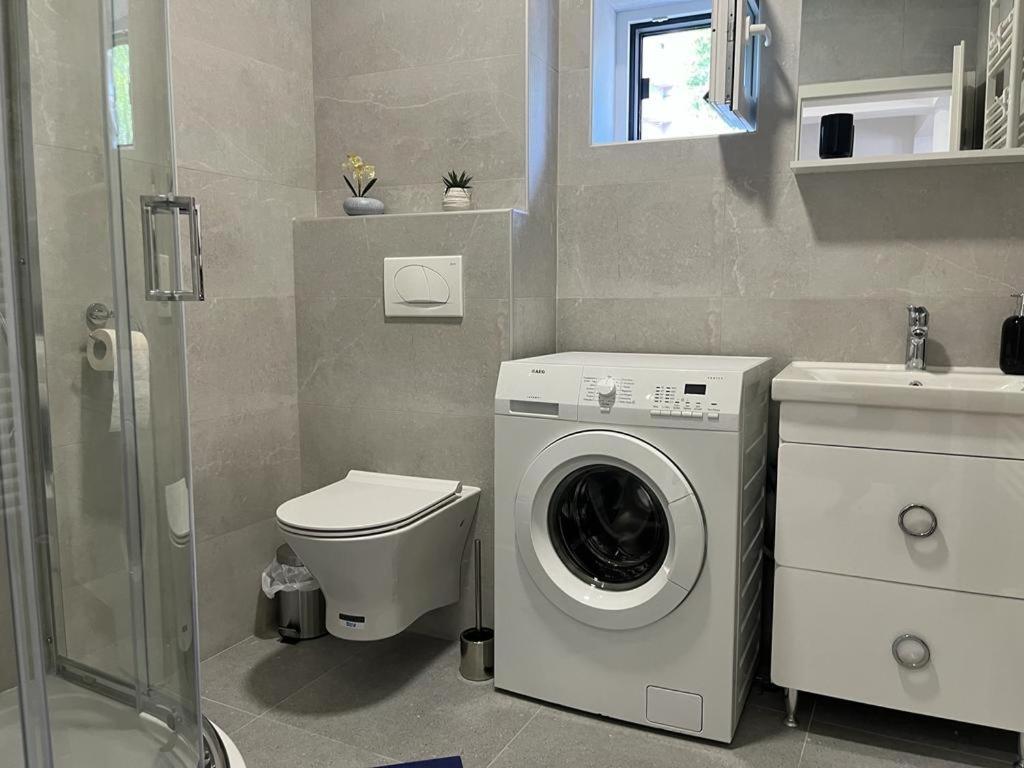 Sabina Apartaments Sfântu-Gheorghe Εξωτερικό φωτογραφία