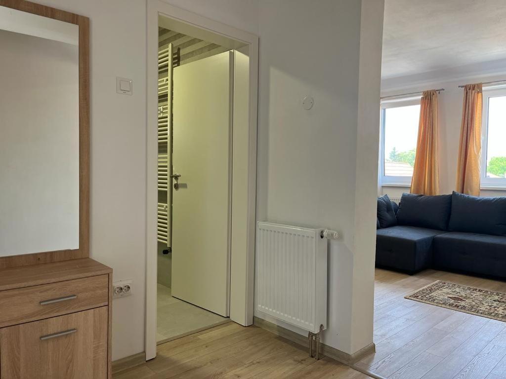 Sabina Apartaments Sfântu-Gheorghe Εξωτερικό φωτογραφία