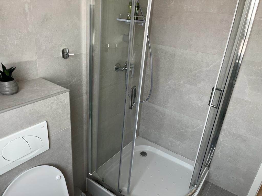 Sabina Apartaments Sfântu-Gheorghe Εξωτερικό φωτογραφία