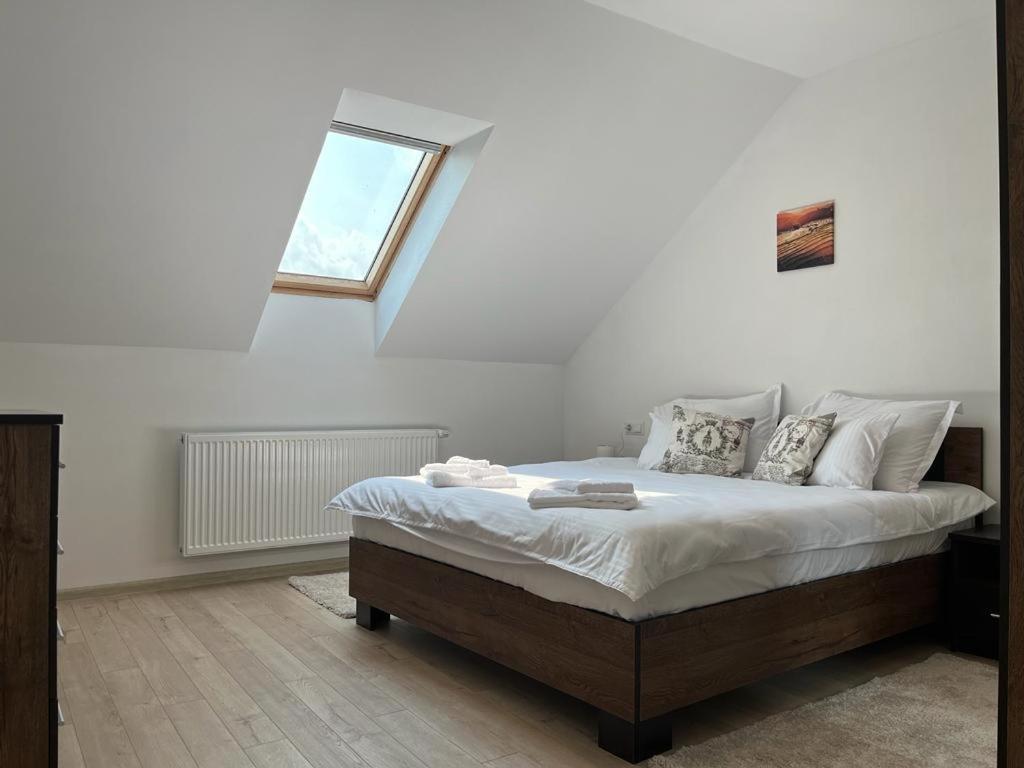 Sabina Apartaments Sfântu-Gheorghe Εξωτερικό φωτογραφία