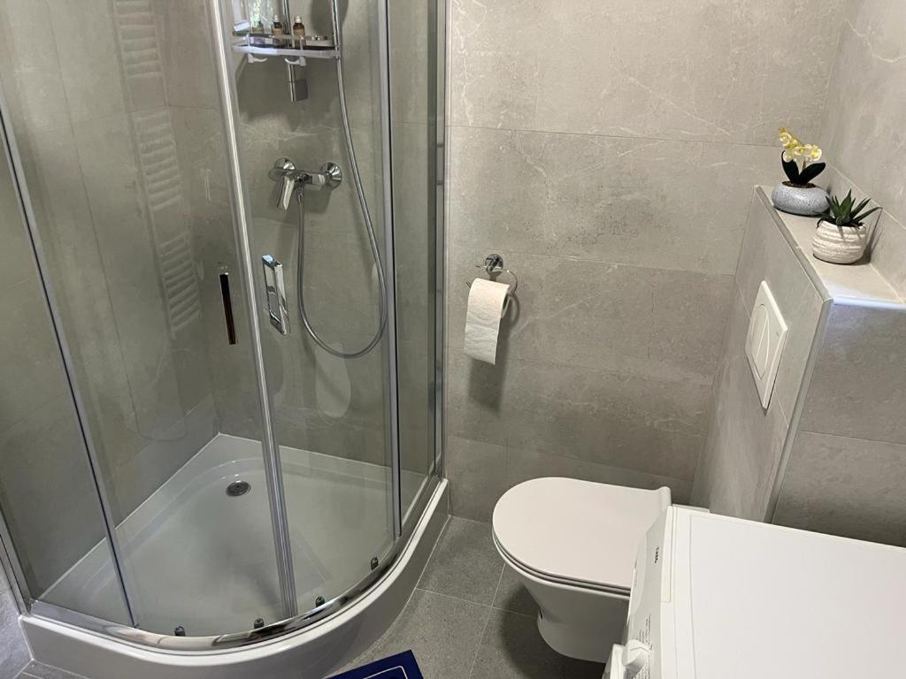 Sabina Apartaments Sfântu-Gheorghe Εξωτερικό φωτογραφία