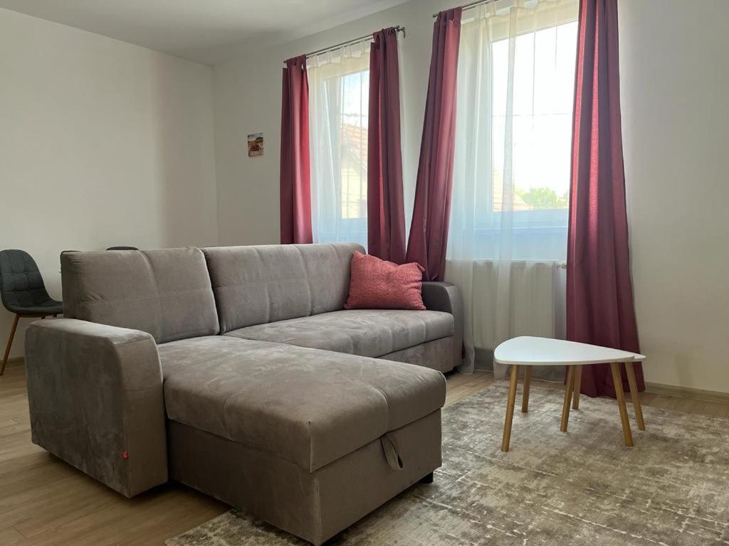 Sabina Apartaments Sfântu-Gheorghe Εξωτερικό φωτογραφία