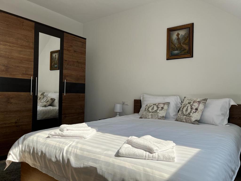 Sabina Apartaments Sfântu-Gheorghe Εξωτερικό φωτογραφία